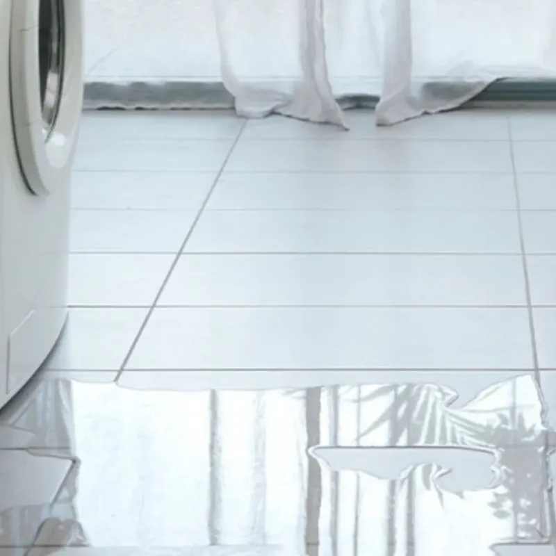 Appliance Leak Cleanup in Zephyrhills North, FL