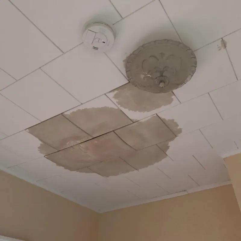 Ceiling Water Damage Repair in Zephyrhills North, FL